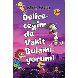 Delireceğim de Vakit Bulamıyorum - Mine Sota - Rönesans Yayınları