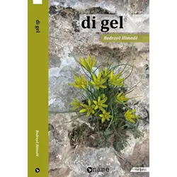Di Gel - Bedroye Himede - Name Yayınları