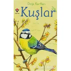 Doğa Kartları - Kuşlar - Emily Bon - TÜBİTAK Yayınları