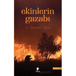 Ekinlerin Gazabı - Hacı Mehmet Gök - Morena Yayınevi