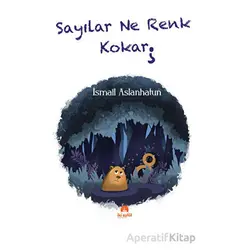 Sayılar Ne Renk Kokar - İsmail Aslanhatun - İki Eylül Yayınevi