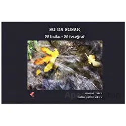 Su da Susar - Murat Türk - Klaros Yayınları