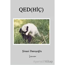 Qed (Hiç) - Şinasi Danışoğlu - İkinci Adam Yayınları