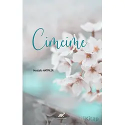 Cimcime - Mustafa Hatipler - Paradigma Akademi Yayınları