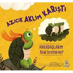 Azıcık Aklım Karıştı Arkadaşlarım Beni Seviyor mu? - Mehmet Teber - Sincap Kitap