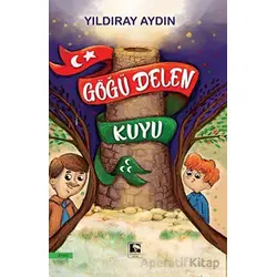 Göğü Delen Kuyu - Yıldıray Aydın - Çınaraltı Yayınları