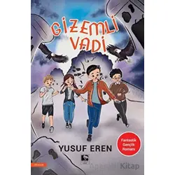 Gizemli Vadi - Yusuf Eren - Çınaraltı Yayınları
