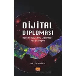 Dijital Diplomasi - Hegemonya, Kamu Diplomasisi ve Dijitalleşme