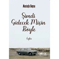 Şimdi Gidecek Misin Böyle - Mustafa Baysa - Gülnar Yayınları