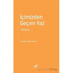 İçimizden Geçen Yaz - Süleyman Özgür Arslan - Paradigma Akademi Yayınları