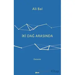 İki Dağ Arasında - Ali Bal - Şule Yayınları