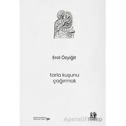 Tarla Kuşunu Çağırmak - Erol Özyiğit - Pikaresk Yayınevi