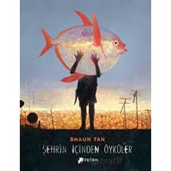 Şehrin İçinden Öyküler - Shaun Tan - Desen Yayınları