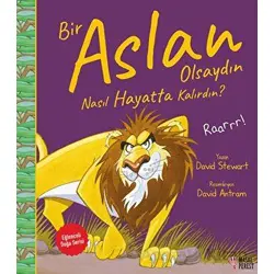 Bir Aslan Olsaydın Nasıl Hayatta Kalırdın? - David Stewart - Masalperest