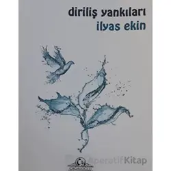Diriliş Yankıları - İlyas Ekin - Cağaloğlu Yayınevi