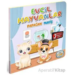 Evcil Hayvanlar Papağan Maviş - Kolektif - 0-6 Yaş Yayınları