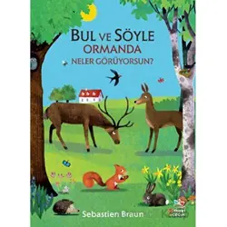 Bul ve Söyle - Ormanda Neler Görüyorsun? - Sebastien Braun - İthaki Çocuk Yayınları