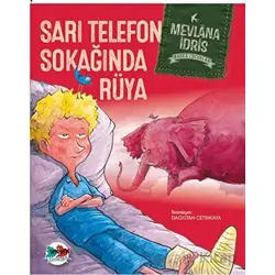Sarı Telefon Sokağında Rüya - Mevlana İdris - Vak Vak Yayınları