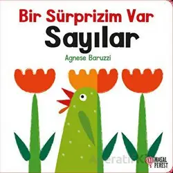 Bir Sürprizim Var - Sayılar - Agnese Baruzzi - Masalperest