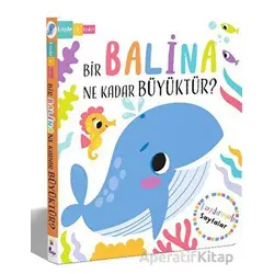 Bir Balina Ne Kadar Büyüktür? - Lisa Regan - İndigo Çocuk