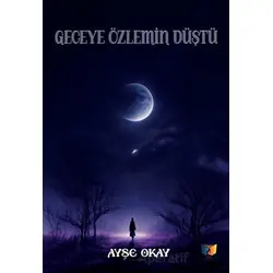 Geceye Özlemin Düştü - Ayşe Okay - Ateş Yayınları