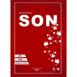 Son - Muhlis Cavlak - Sokak Kitapları Yayınları
