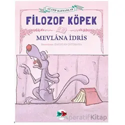 Filozof Köpek - Mevlana İdris - Vak Vak Yayınları