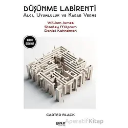 Düşünme Labirentleri - Stanley Milgram - Gece Kitaplığı