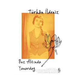 Buz Altında Yanardağ - Türkan İldeniz - Everest Yayınları