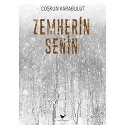Zemherin Senin - Coşkun Karabulut - Günce Yayınları