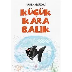 Küçük Kara Balık - Samed Behrengi - Nilüfer Yayınları