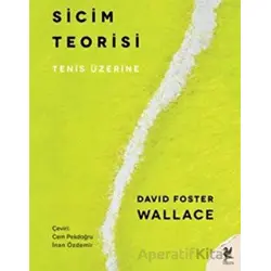 Sicim Teorisi - David Foster Wallace - Siren Yayınları