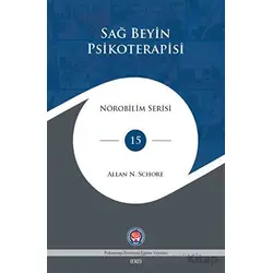 Sağ Beyin Psikoterapisi - Allan N. Schore - Psikoterapi Enstitüsü