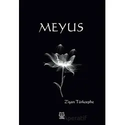 Meyus - Zişan Türkcephe - Luna Yayınları