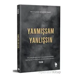 Yanmışsam Yanlışsın - Tekir - Nemesis Kitap