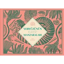 Yeryüzünün Kayıp Manzaraları - Aina Bestard - MEAV Yayıncılık