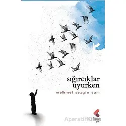Sığırcıklar Uyurken - Mehmet Sezgin Sarı - Klaros Yayınları