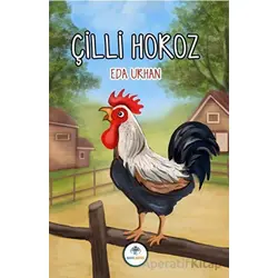 Çilli Horoz - Eda Urhan - Mavi Nefes Yayınları