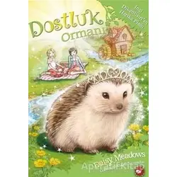 Dostluk Ormanı-6 / İnci Dikenlisırtın Harika Planı - Daisy Meadows - Beyaz Balina Yayınları