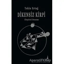 Dikensiz Kirpi - Tekin Ertuğ - Alter Yayıncılık