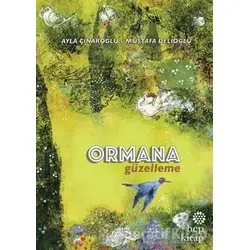 Ormana Güzelleme - Ayla Çınaroğlu - Hep Kitap