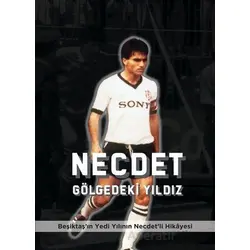 Necdet Gölgedeki Yıldız - İlker Pırlant - Kırk Yayınevi