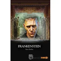 Frankenstein - Mary Shelley - Black Books