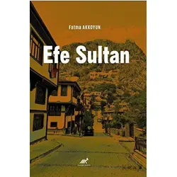 Efe Sultan - Fatma Akkoyun - Paradigma Akademi Yayınları