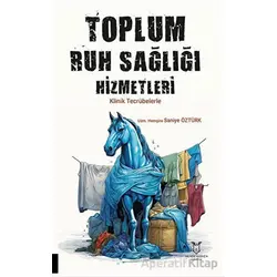Toplum Ruh Sağlığı Hizmetleri - Saniye Öztürk - Akademisyen Kitabevi