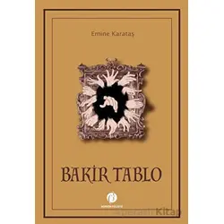 Bakir Tablo - Emine Karataş - Herdem Kitap