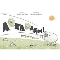 Arkadaşım Bir Bakar Mısın? - Hümeyra Koçer Köylü - Paraşüt Kitap