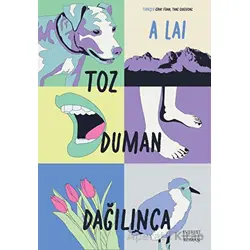 Toz Duman Dağılınca - Alai - Everest Yayınları