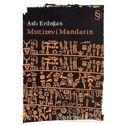 Mucizevi Mandarin - Aslı Erdoğan - Everest Yayınları
