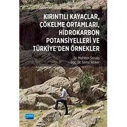 Kırıntılı Kayaçlar, Çökelme Ortamları, Hidrokarbon Potansiyelleri ve Türkiye’den Örnekler